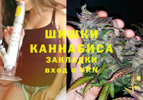 гашик Алзамай
