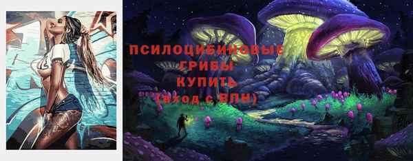 стафф Алексин