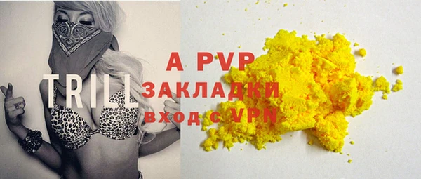 стафф Алексин