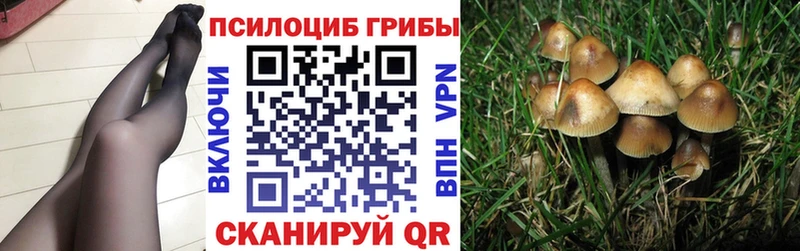 Псилоцибиновые грибы мухоморы  магазин продажи наркотиков  Апрелевка 