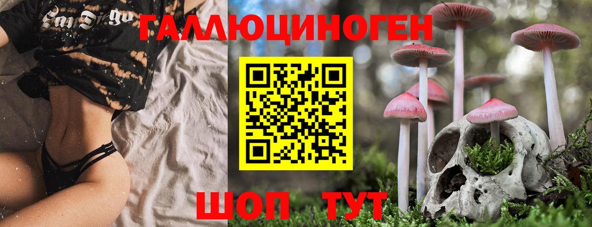 Галлюциногенные грибы GOLDEN TEACHER  Вход с VPN  Апрелевка  Псилоцибиновые грибы Psilocybine cubensis 