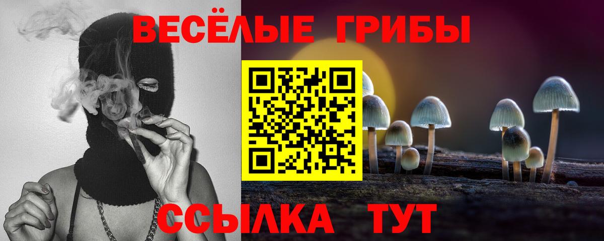 Псилоцибиновые грибы мухоморы Апрелевка