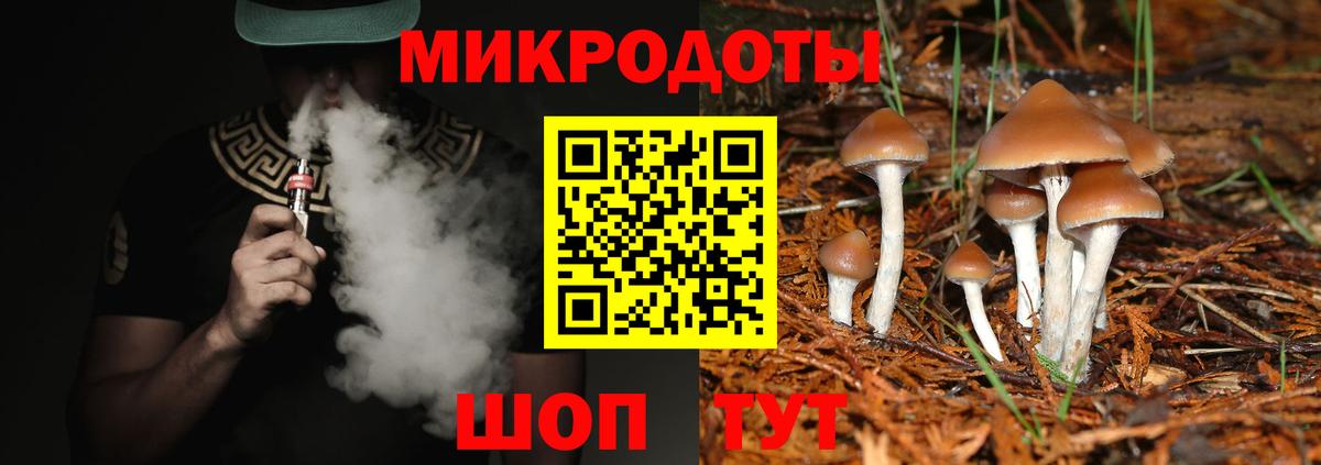 Апрелевка  что такое   Псилоцибиновые грибы мицелий  Вход с VPN  Галлюциногенные грибы Psilocybine cubensis 